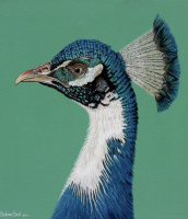 Özkan Özel