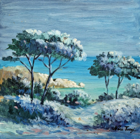 Naci Terzi