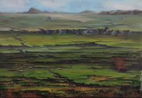 Turgay Sarı