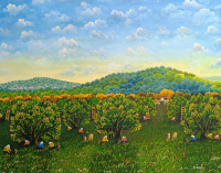 Hatice Nazlı Seygan