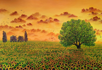 Hatice Nazlı Seygan