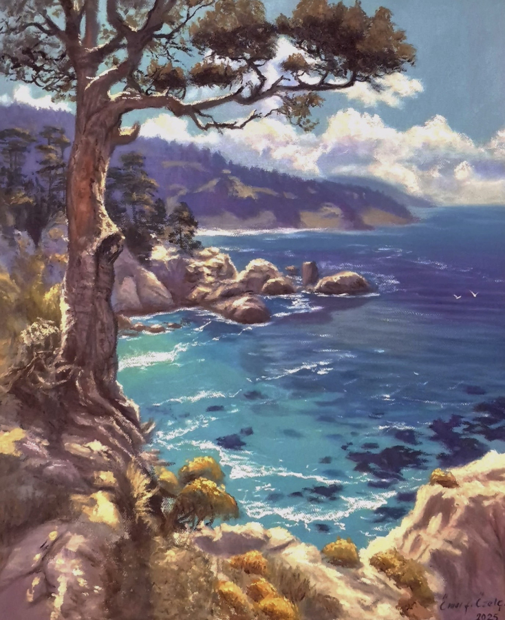 Ömer Faruk Özelçi